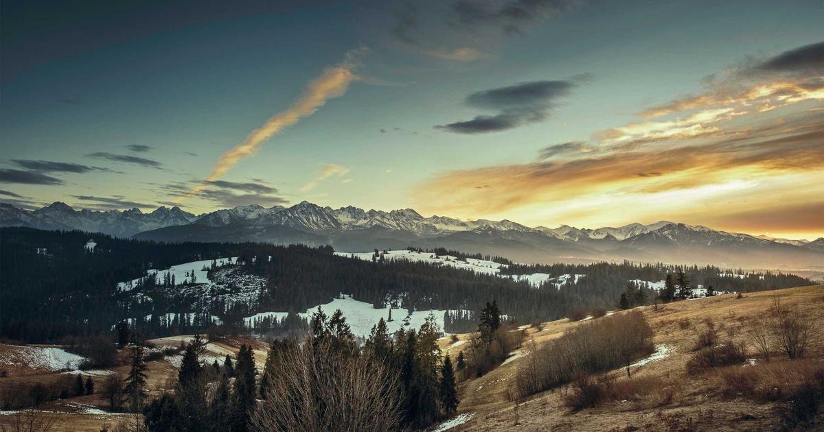 Nginx Proxy Manager Setup: The Complete Homelab Guide for Secure Reverse Proxying